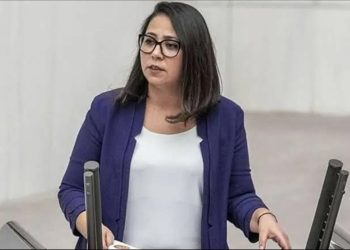 TİP Milletvekili Sera Kadigil’den Ak partilileri kızdıracak sözler