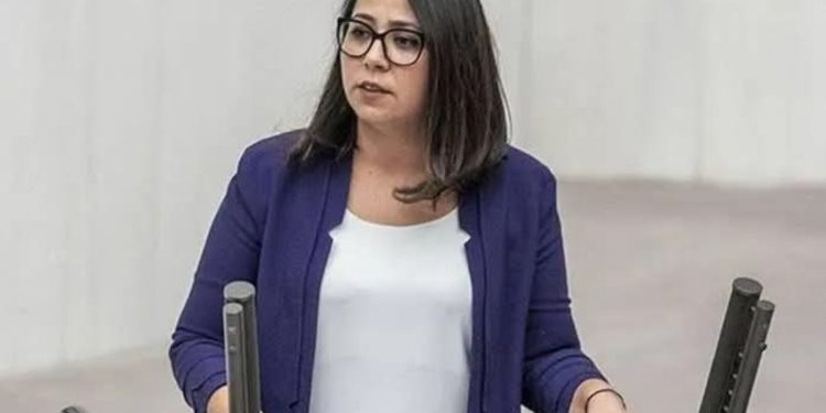 TİP Milletvekili Sera Kadigil’den Ak partilileri kızdıracak sözler
