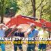 OSMANLI KÖYÜ’NDE ÇALIŞMALAR MASAYA DEĞİL, SAHAYA TAŞINDI!