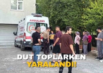 DUT YOPLARKEN YARALANDI!
