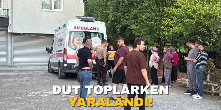 DUT YOPLARKEN YARALANDI!