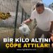 Bursa’da 1 Kilogram Altın Çöpe Gitti!
