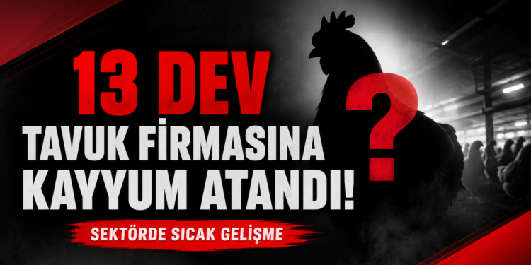 TAVUKLAR DA NASİBİNİ ALDI.
