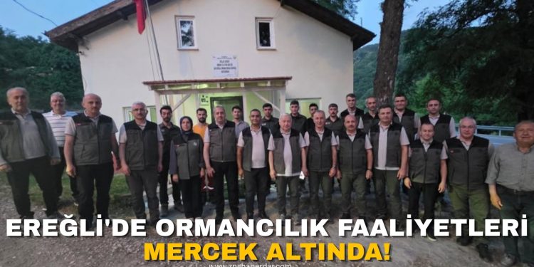 ORMANCILIK ÇALIŞMALARI EREĞLİ’DE MASAYA YATIRILDI!