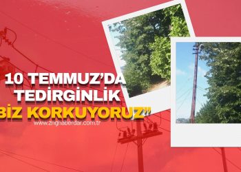10 TEMMUZ MAHALLESİ’NDE AĞAÇ TEDİRGİNLİĞİ: “ELEKTRİK TELLERİNE DEĞECEK DİYE KORKUYORUZ”
