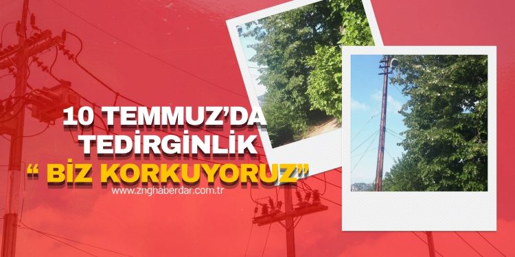 10 TEMMUZ MAHALLESİ’NDE AĞAÇ TEDİRGİNLİĞİ: “ELEKTRİK TELLERİNE DEĞECEK DİYE KORKUYORUZ”