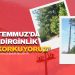 10 TEMMUZ MAHALLESİ’NDE AĞAÇ TEDİRGİNLİĞİ: “ELEKTRİK TELLERİNE DEĞECEK DİYE KORKUYORUZ”
