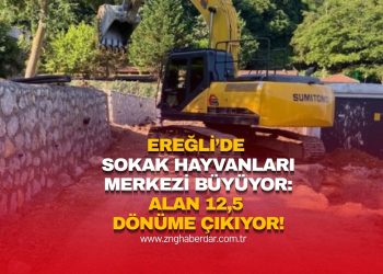 EREĞLİ’DE SOKAK HAYVANLARI MERKEZİ BÜYÜYOR: ALAN 12,5 DÖNÜME ÇIKIYOR!