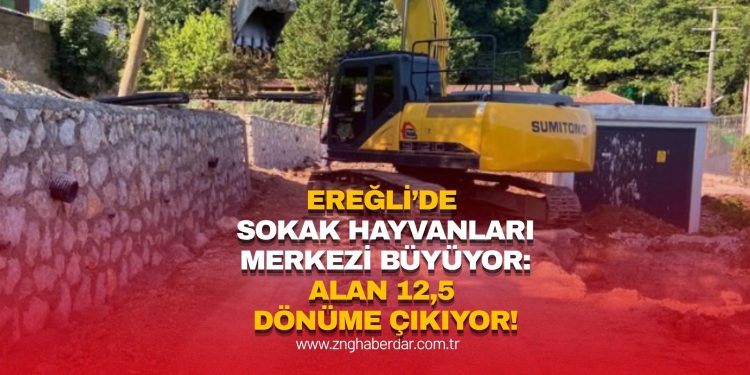 EREĞLİ’DE SOKAK HAYVANLARI MERKEZİ BÜYÜYOR: ALAN 12,5 DÖNÜME ÇIKIYOR!