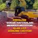 EREĞLİ’DE SOKAK HAYVANLARI MERKEZİ BÜYÜYOR: ALAN 12,5 DÖNÜME ÇIKIYOR!