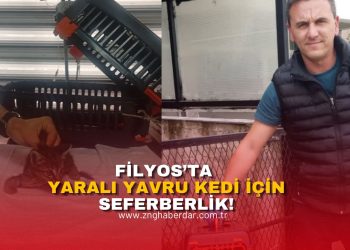 FİLYOS’TA YARALI YAVRU KEDİ İÇİN SEFERBERLİK