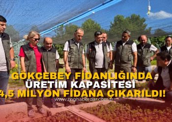 GÖKÇEBEY FİDANLIĞINDA ÜRETİM KAPASİTESİ 4,5 MİLYON FİDANA ÇIKARILDI