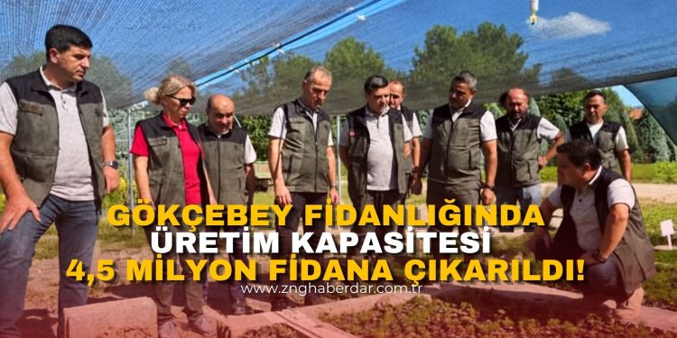 GÖKÇEBEY FİDANLIĞINDA ÜRETİM KAPASİTESİ 4,5 MİLYON FİDANA ÇIKARILDI