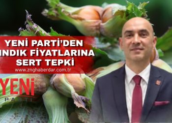 YENİ PARTİ’DEN FINDIK FİYATLARINA SERT TEPKİ: “ÜRETİCİ GÖZ GÖRE GÖRE ZARARA MAHKÛM EDİLİYOR”